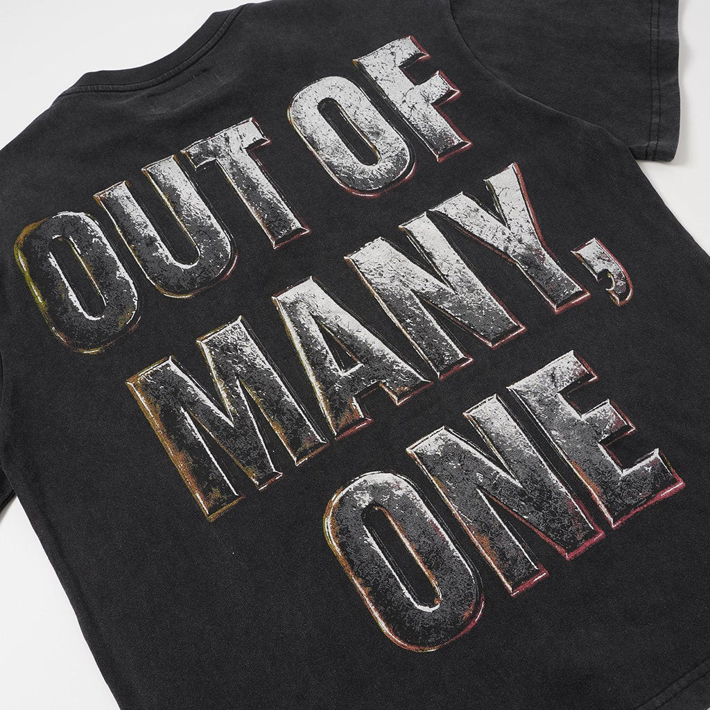Godspeed Out of Many One Skull Graphic T-Shirt — detail